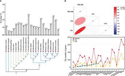 Genome-wide analysis of NBS-LRR genes revealed contribution of disease resistance from Saccharum spontaneum to modern sugarcane cultivar